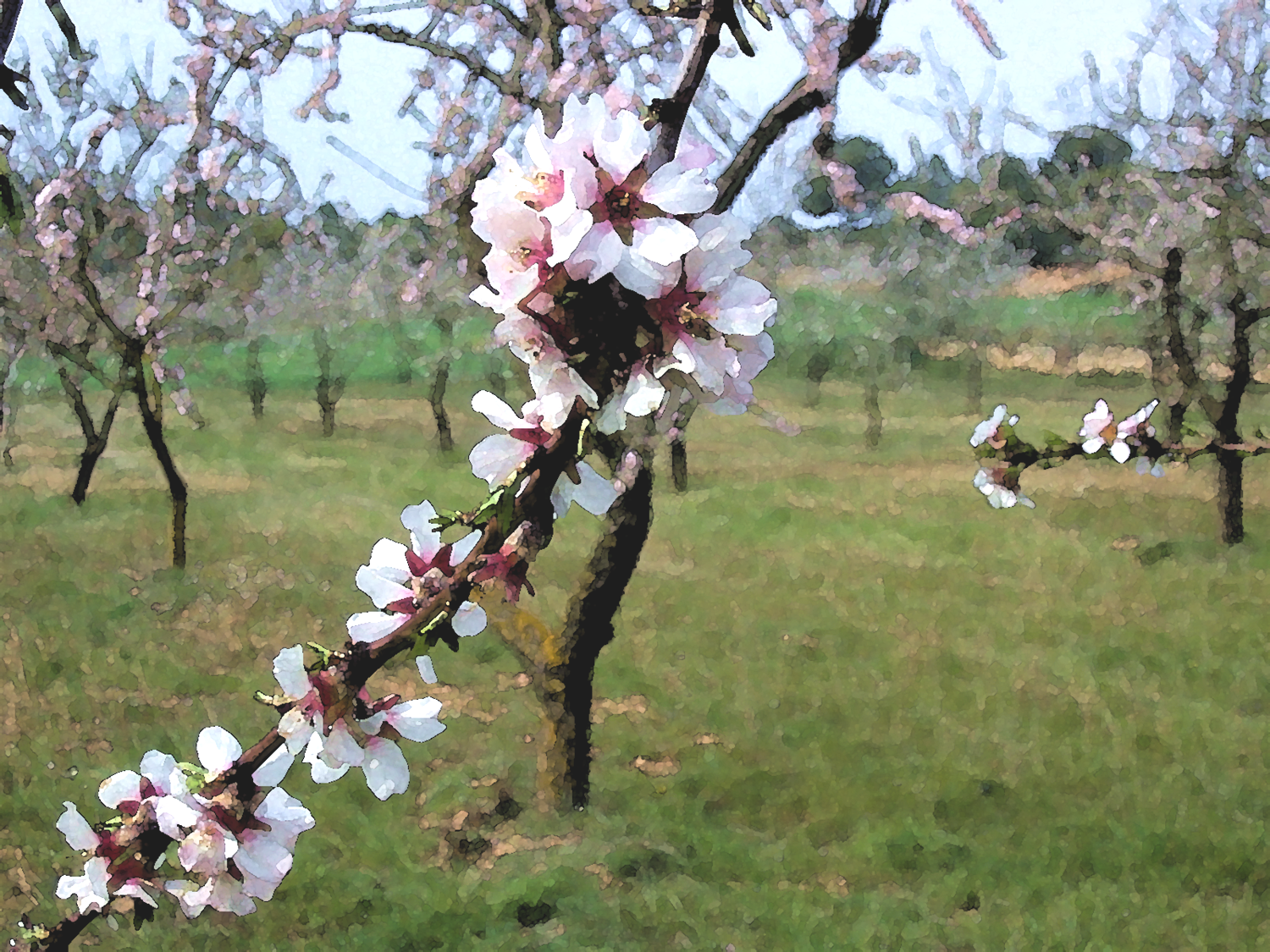 Foto Garrigues