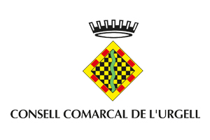 clients-raiels_0004_consell-comarcal-uregll