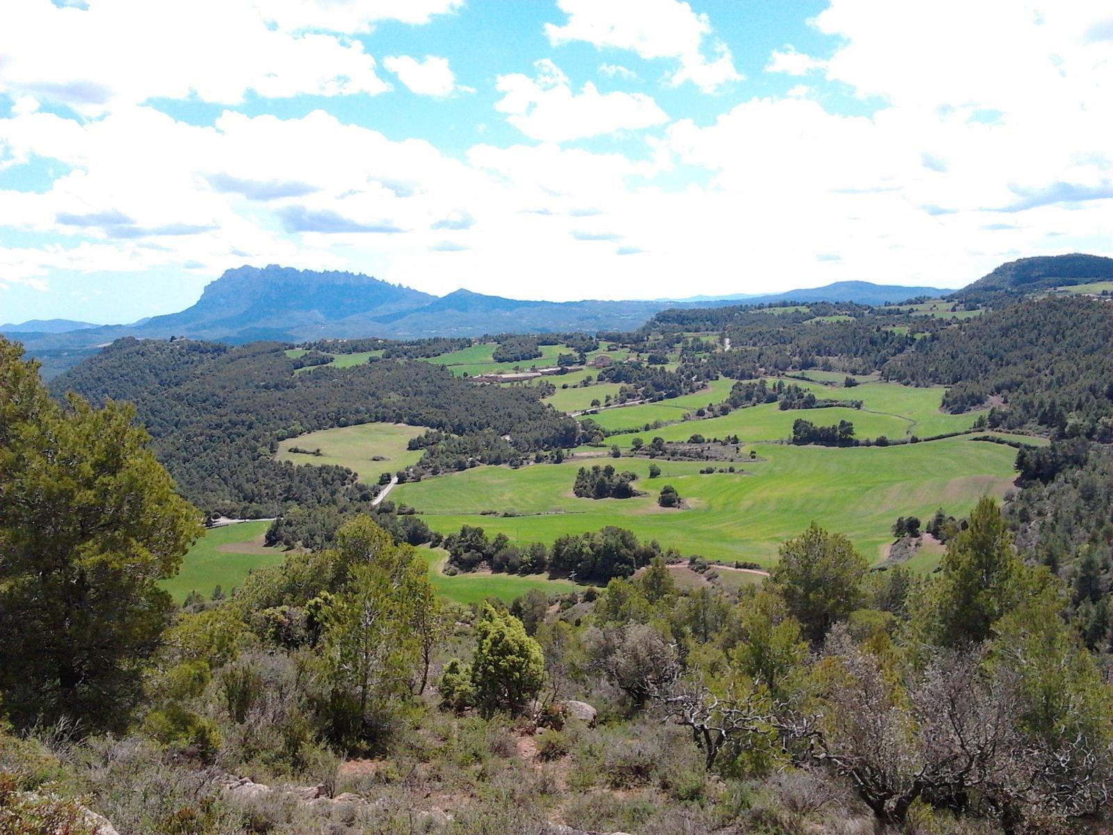 Diagnosi ruralitat Bages