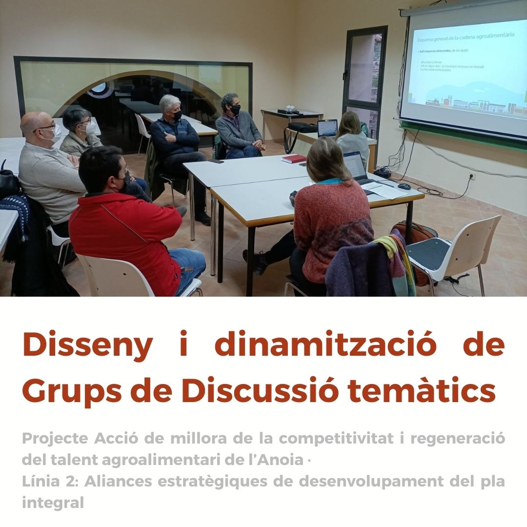 3. Disseny i dinamització de grups de discussió temàtics