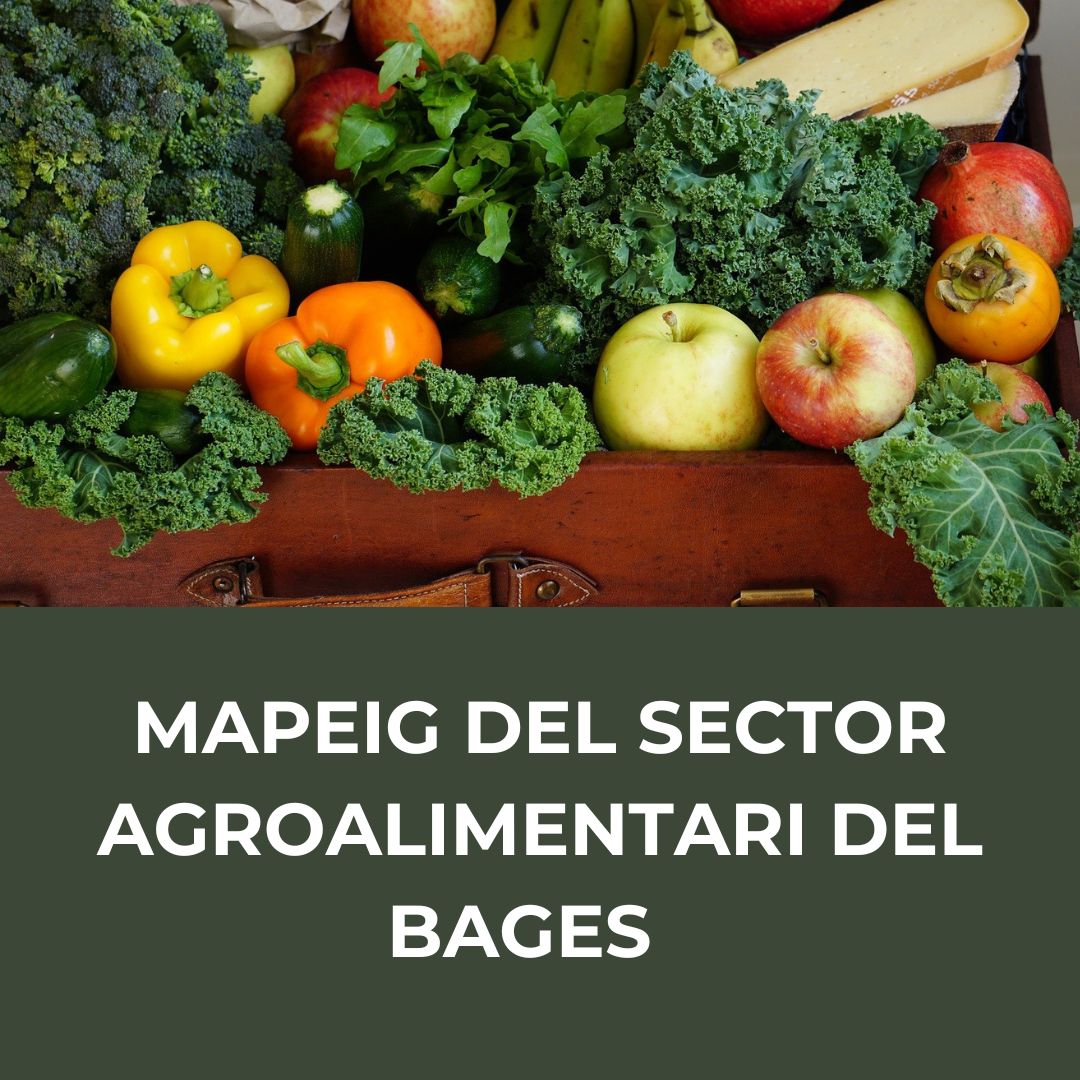 4. Mapeig del sector agroalimentari de la comarca del Bages